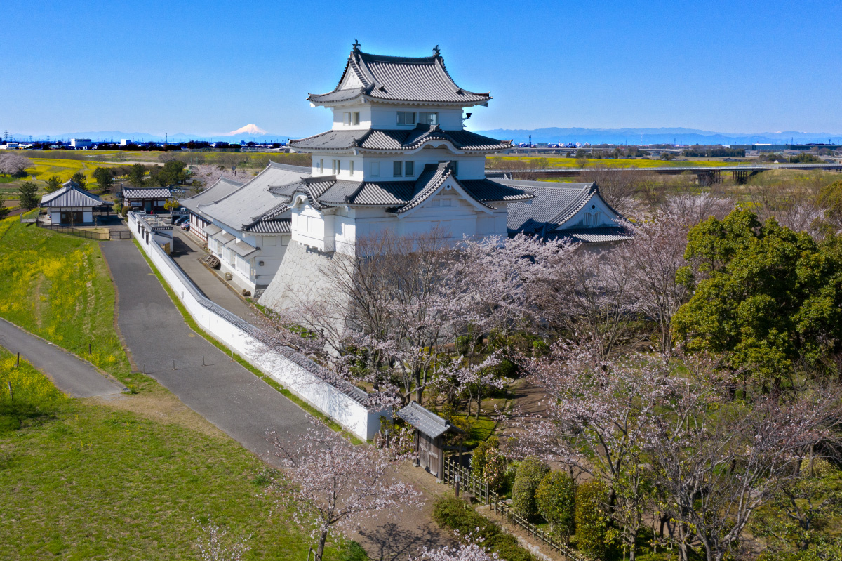 野田 市 コロナ 感染 者 情報